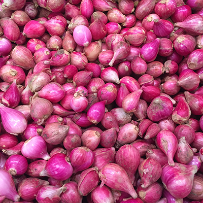 Other Alliums extend season, add to onion profits