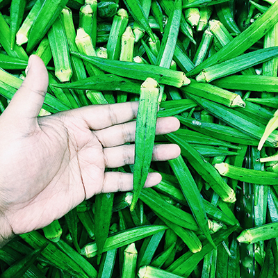 Okra: not just for Southerners