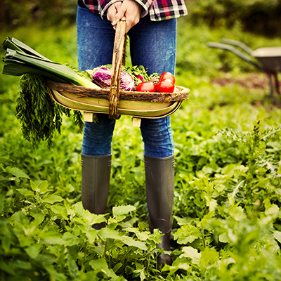 Super-productive CSA also helps hungry