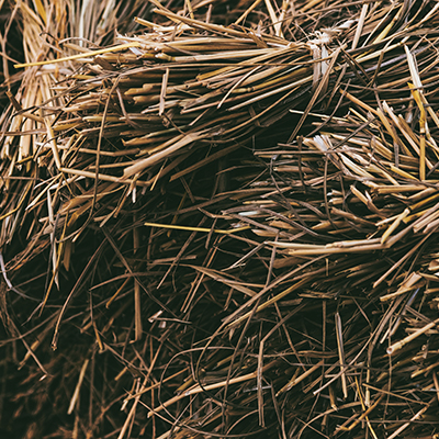 Contaminated hay ruins crops