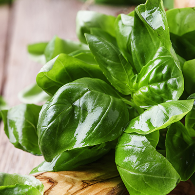 Basil is great in bouquets —  if you choose the right varieties