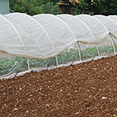 Caterpillar tunnel:  An inexpensive variation on the hoophouse theme