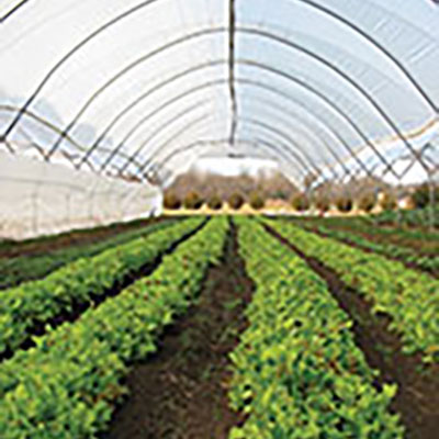 Hoophouse update: most profitable uses