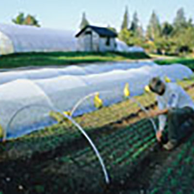 Hoophouse and Quick Hoops Crops