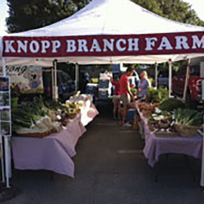    Guest editorial: Is it time to re-invent your farmers market?