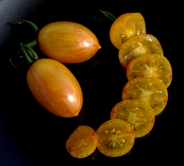 breeding-tomatoes-farm-practical-selection-advice