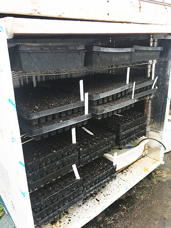 lowcost-germination-chamber-built-almost-no-tools
