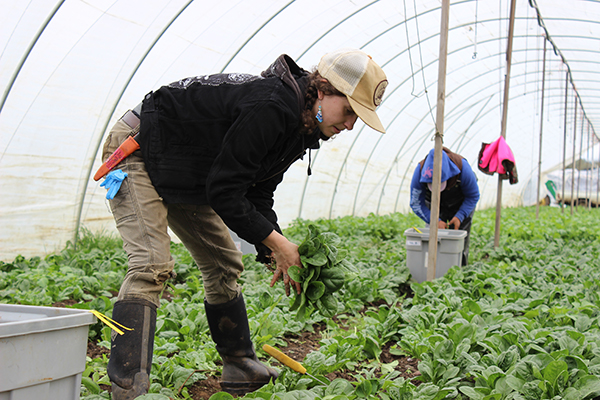 creating-positive-farm-workplace