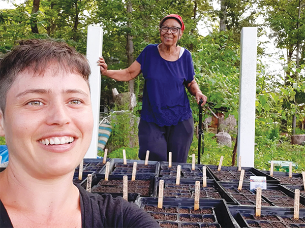 collards-the-new-kale