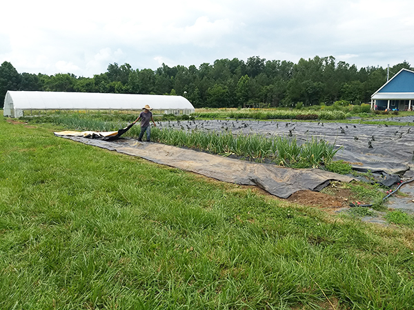 efficient-lowstress-techniques-handling-silage-tarps