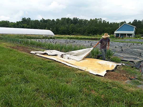 efficient-lowstress-techniques-handling-silage-tarps
