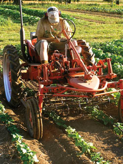 Allis G