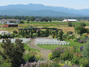 cutting garden
