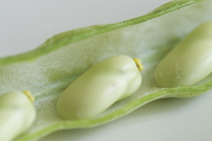Fava Beans