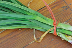 garlic hitch