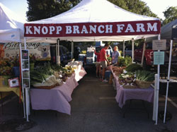 Farmers Market