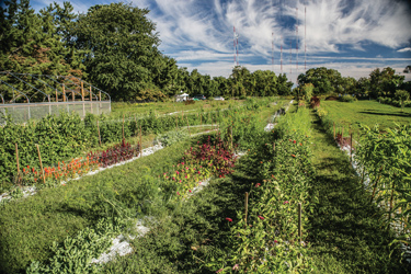 Jennie Love Farm