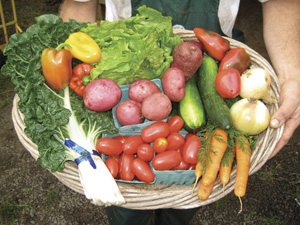 CSA Share