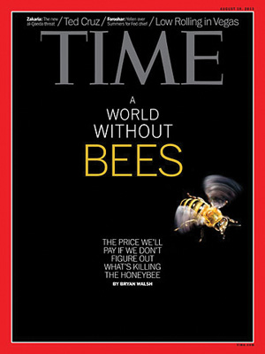 time cover