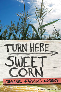 Turn here