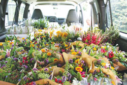Flower Van