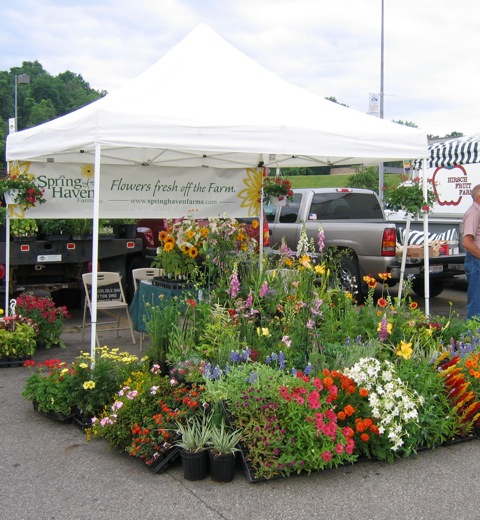 Photo Winners Growing For Market Photo Winners Growing For Market