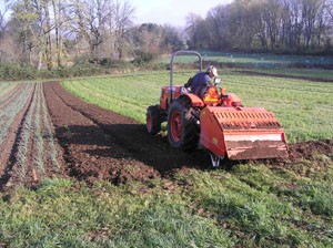 Preparing beds with tractor