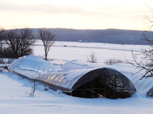 hoophouse collapse