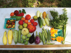 veggies