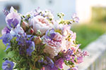Roses 1