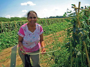 world crops